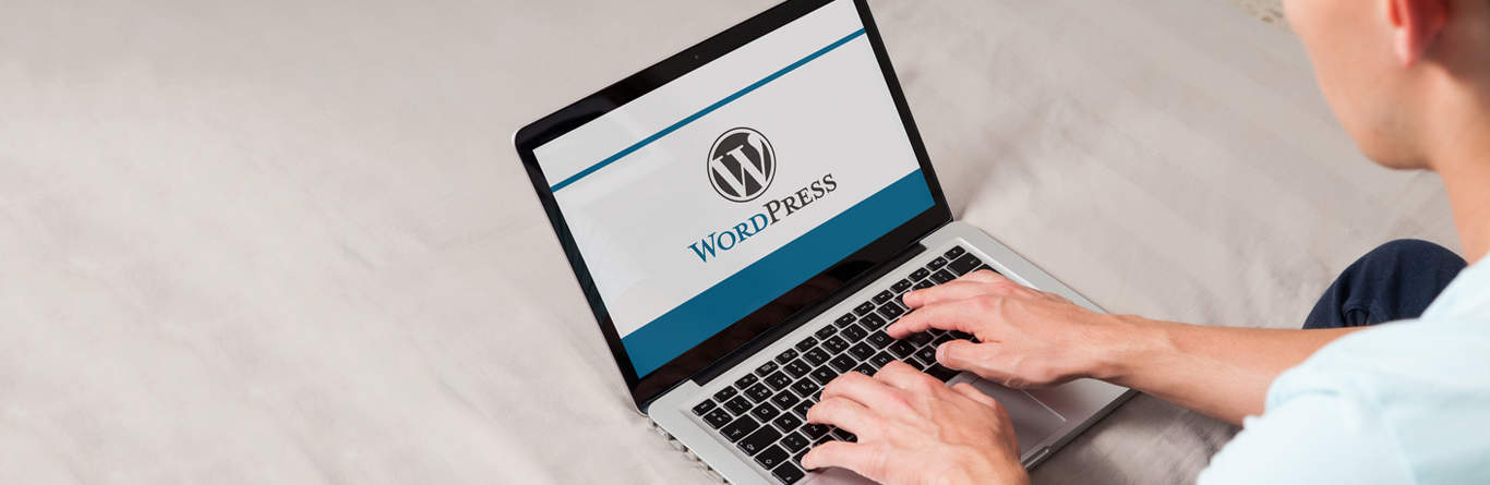 WordPress Maintenance Guide